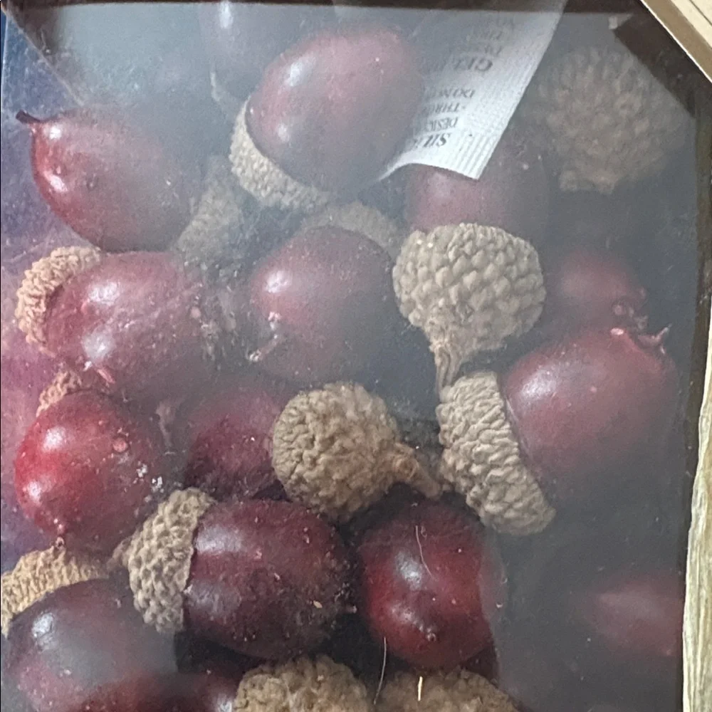 Pier 1 Decorative filler Potpourri Set - Brown and deep Red NWT